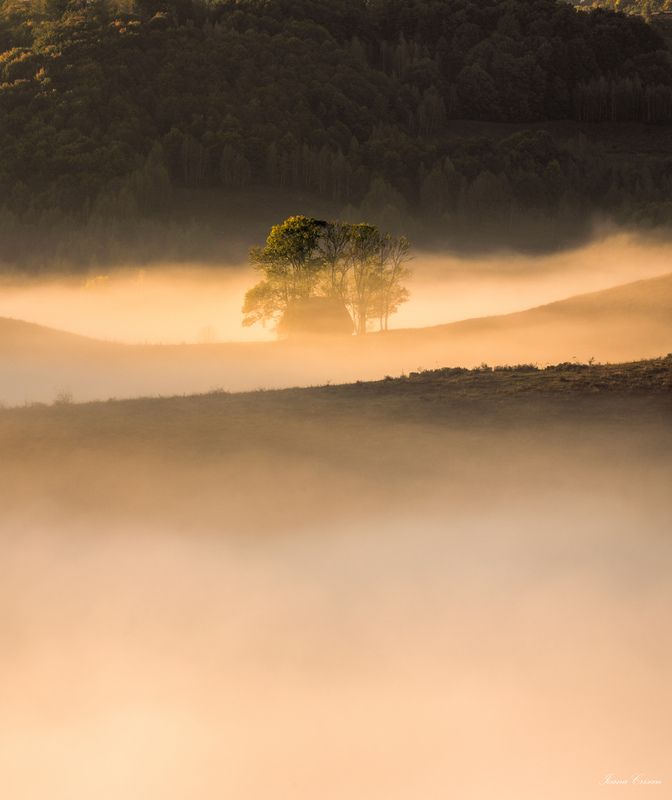 Foggy morningphoto preview