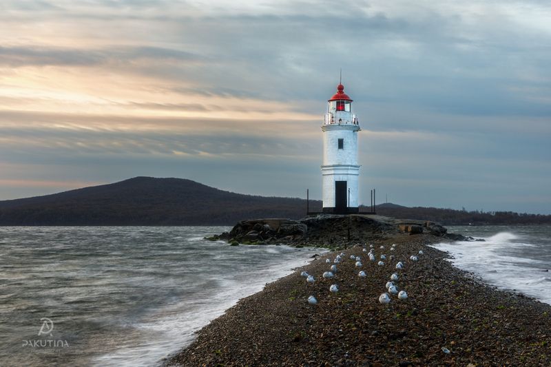 владивосток, маяк, приморье, пейзаж Маяк Токаревского во Владивостокеphoto preview