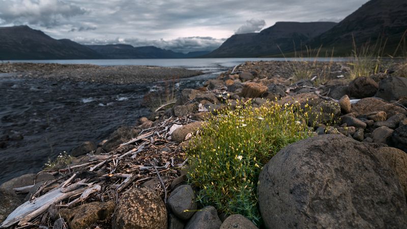 Плато Путорана photo preview