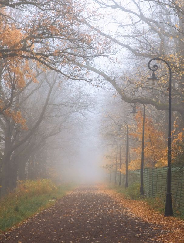 Знаменка фото превью