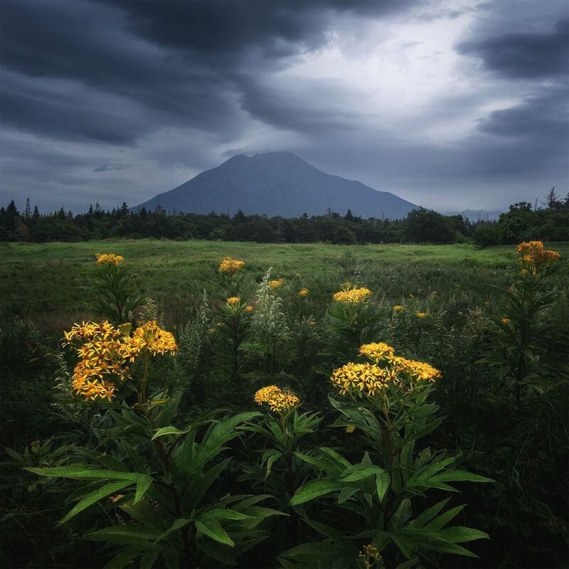 Вулкан Стокап фото превью