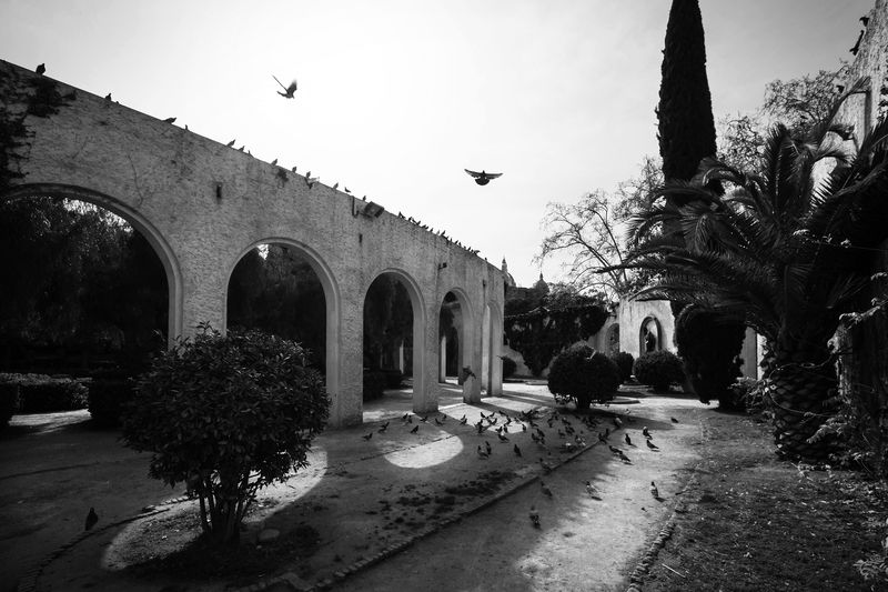 Базарphoto preview