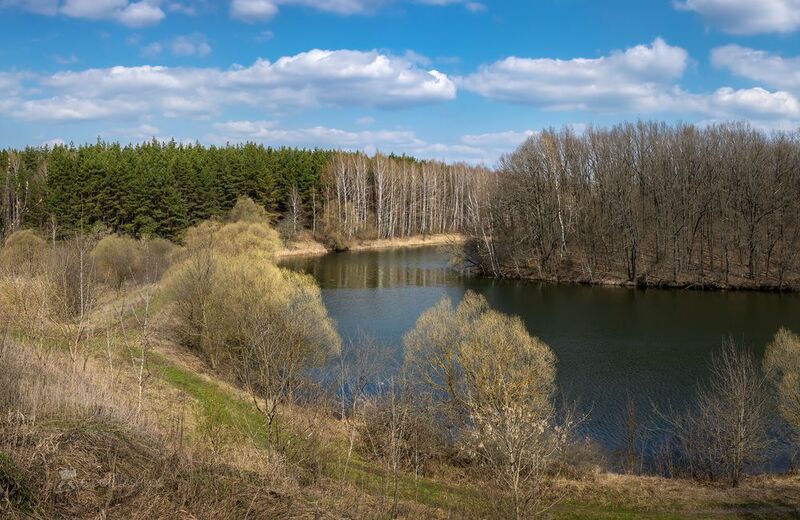 белгородская область, белогорье, холмы, холмистое, озеро, пруд, водоём, днём, дневное, синие, берег, поле, лес, берёза, весна, весенний, апрель, апрельский, облака, облачно, Апрельский день – настроение весныphoto preview