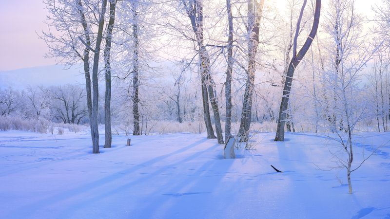 Февральская зима.photo preview