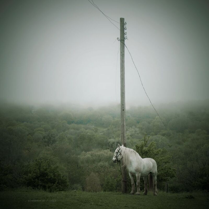 Untitledphoto preview