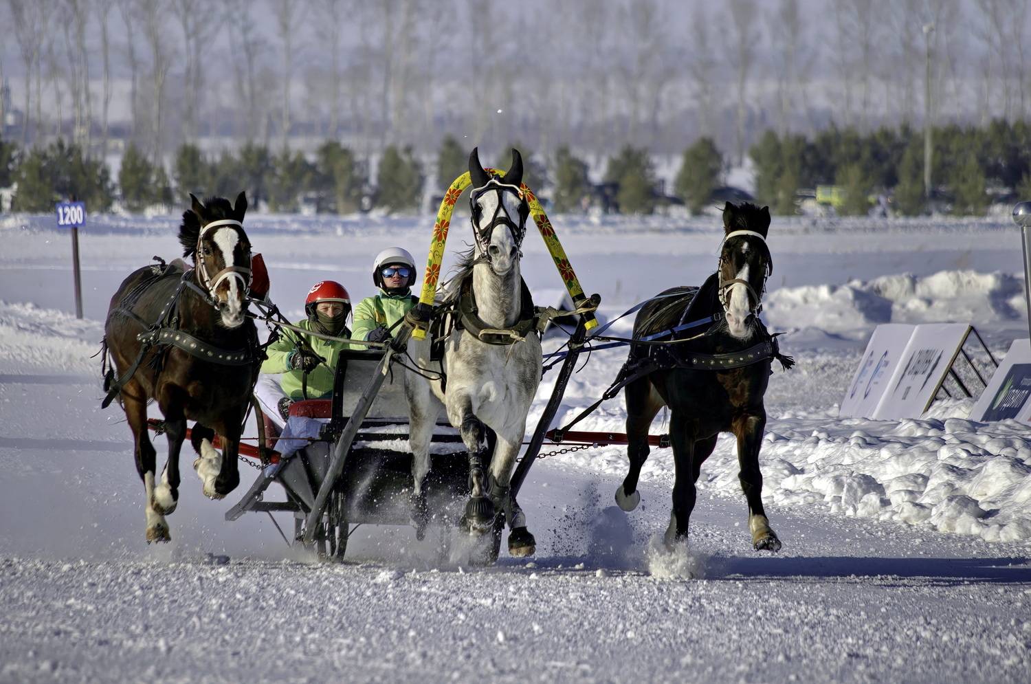 , Кузнецов Дмитрий