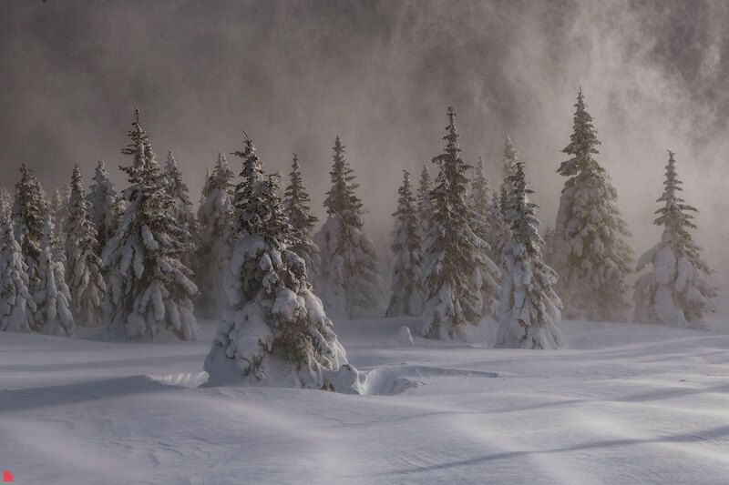 таганай, зима, метель, горы, снег 31 ельphoto preview