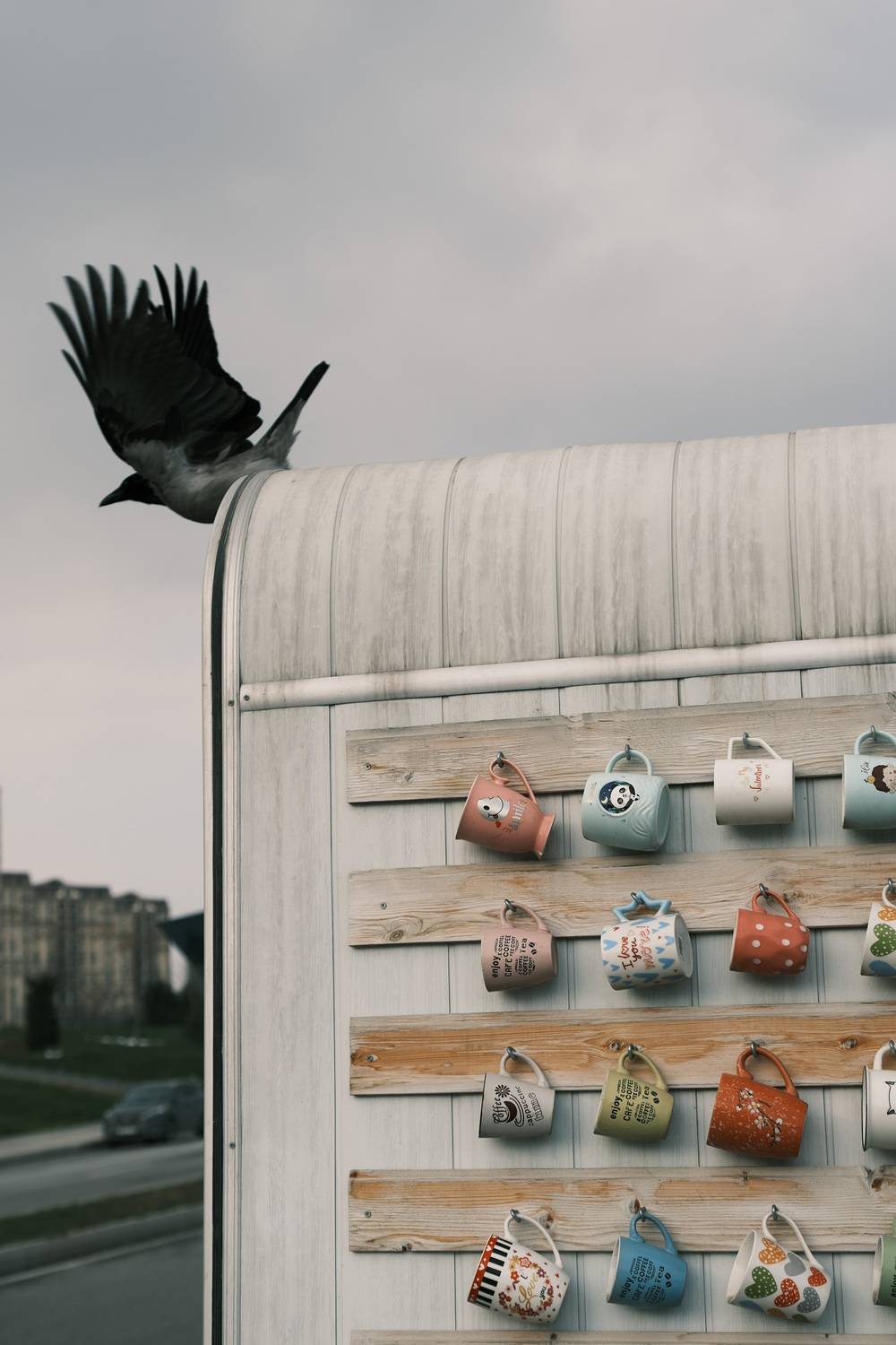 , Корж Владимир