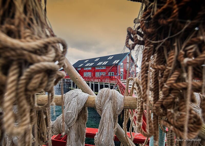 lofoten norway travel sea harbour Strooling around Lofoten islands фото превью