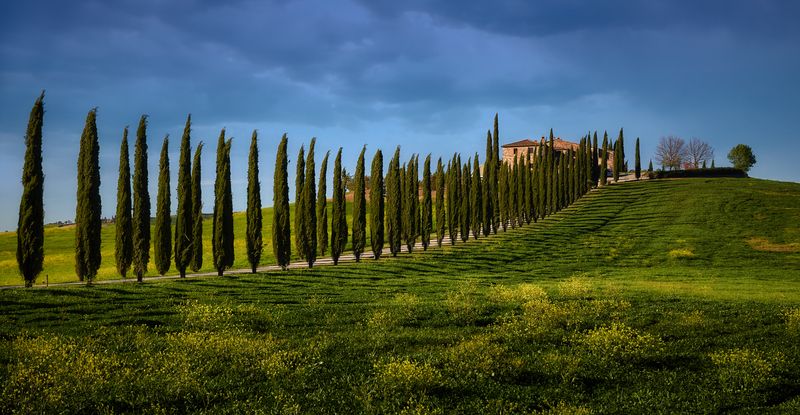 аллеяphoto preview