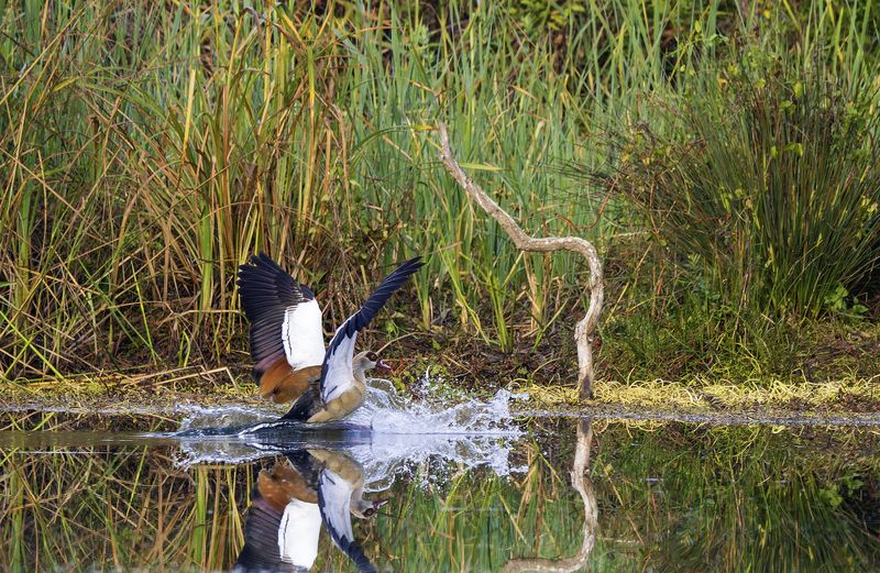 Пленэр.photo preview