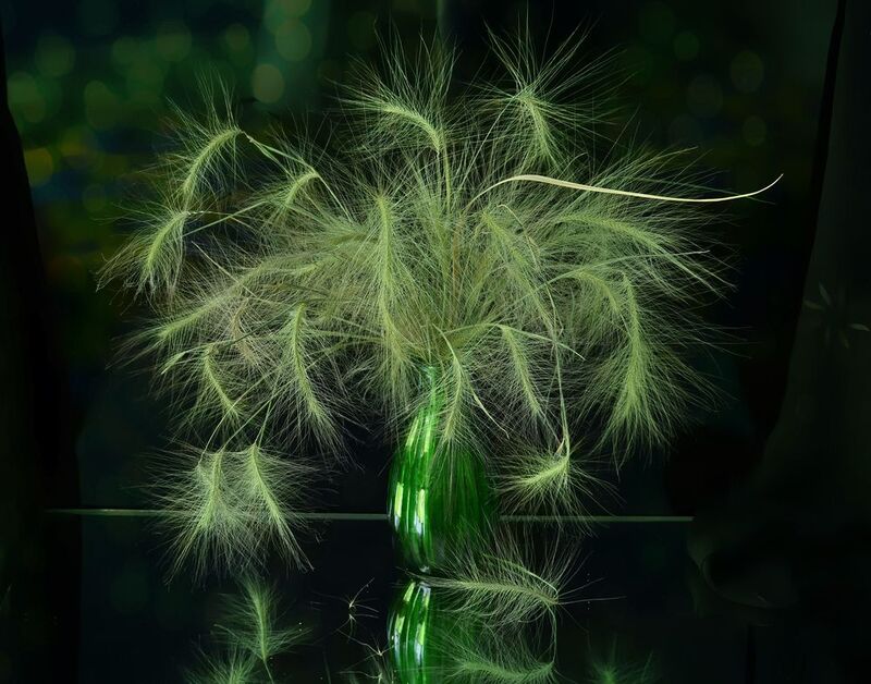 натюрморт,композиция,свет,лето,букет ***photo preview