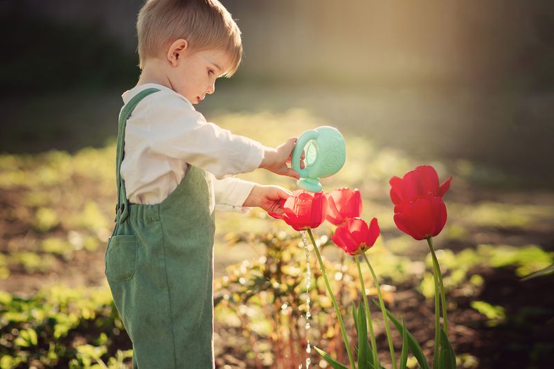 Юный садоводphoto preview