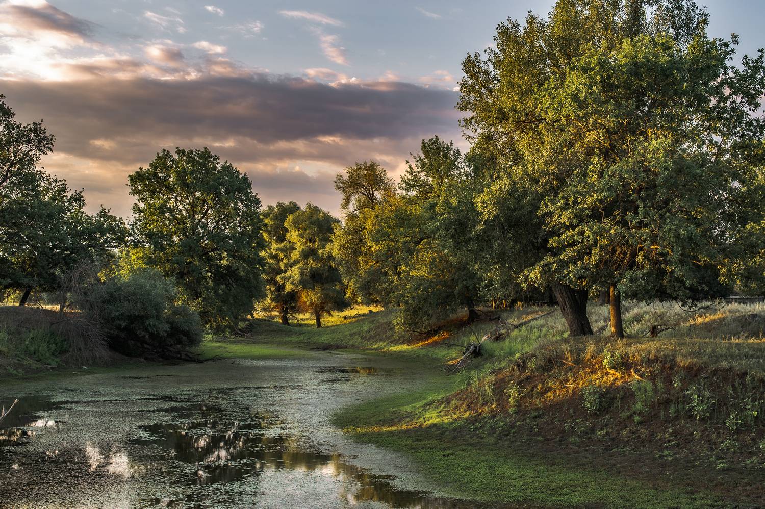 Озеро. Автор: Vasilev Roman природа,озеро,пейзаж, Vasilev Roman