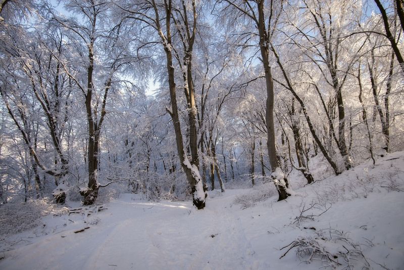 Зимний ажурphoto preview