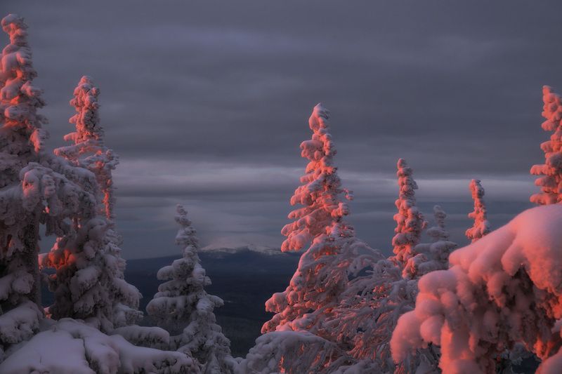 Два Брата, Третья сопка, Уреньга, Южный Урал, Урал, зимний пейзаж Вид на Два Брата (Третья сопка) хребта Уреньгаphoto preview