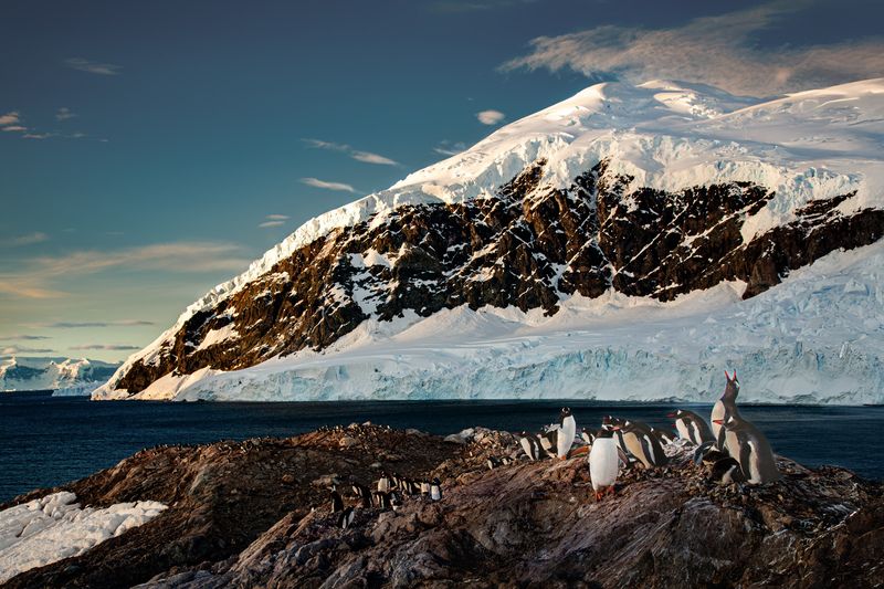 ПИНГВИНЬИ ХРОНИКИ - 2photo preview