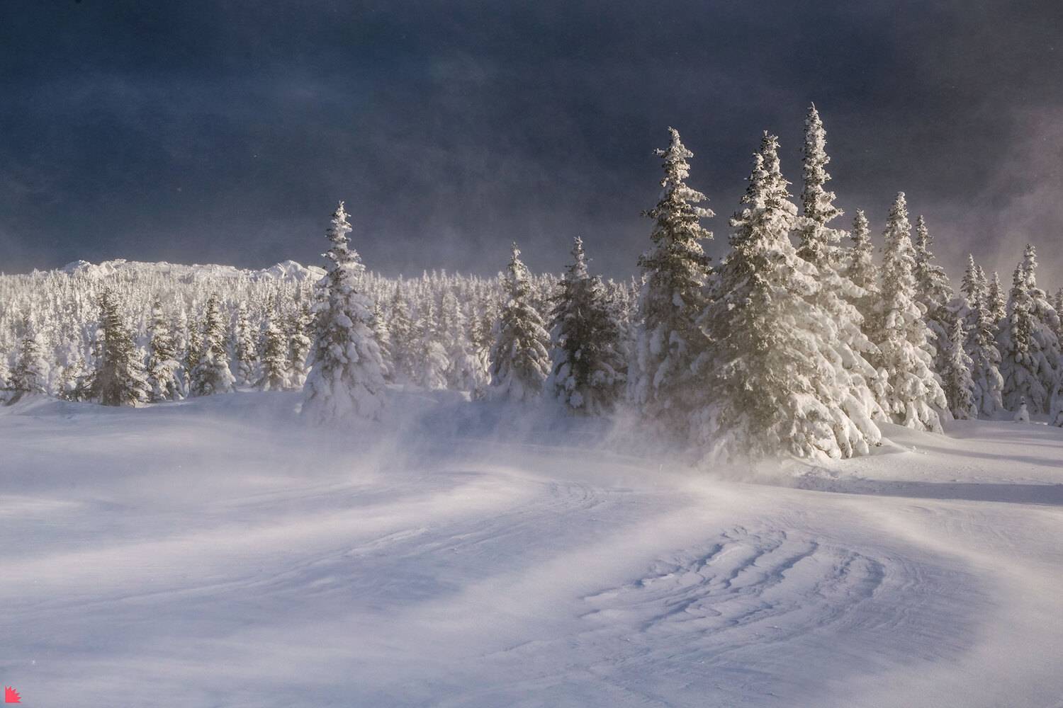 таганай, зима, метель, горы, снег, Осипов Ёжъ Александр