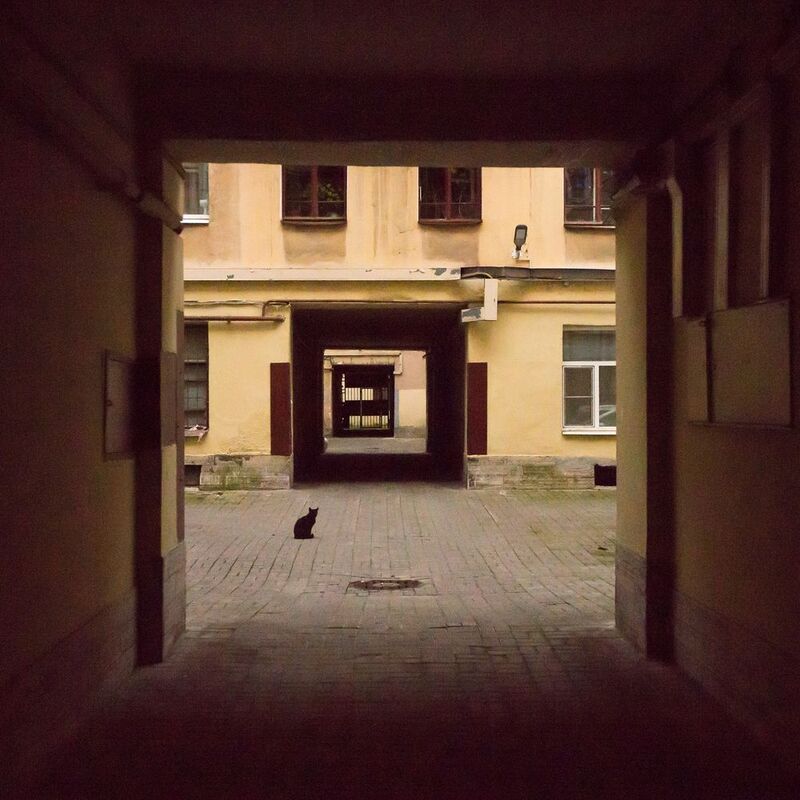 Питерский фрактальный Малевич - квадраты наличествуют, а из черного - кот.photo preview