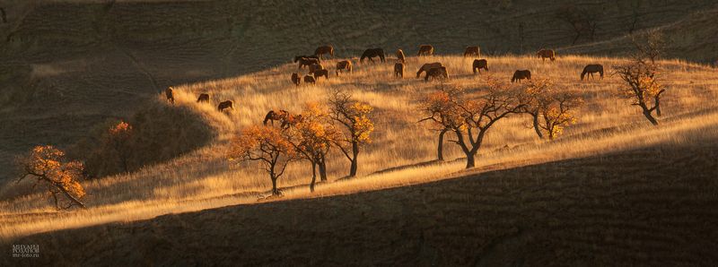Кудали, Дагестанphoto preview