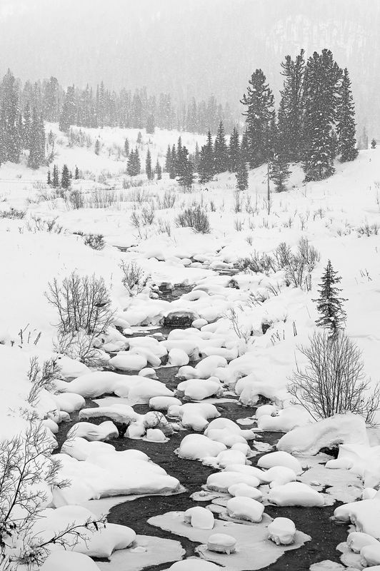ергаки, саяны, красноярский край, горы Ергаки. После снегопадаphoto preview
