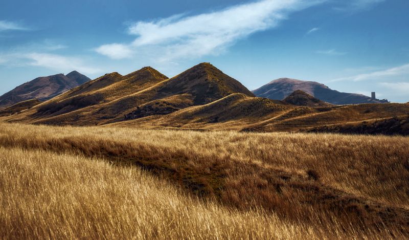 Грузинская степьphoto preview