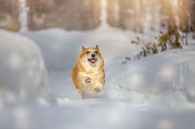 Я бегу к тебе!!! photo preview