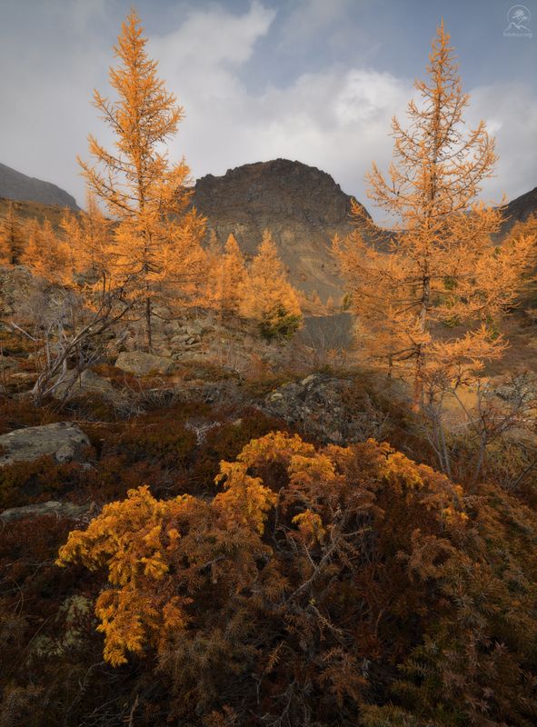 алтай, фототур по алтаю, осень, горы, горный алтай, республика алтай, куектанары Уходила осень...photo preview