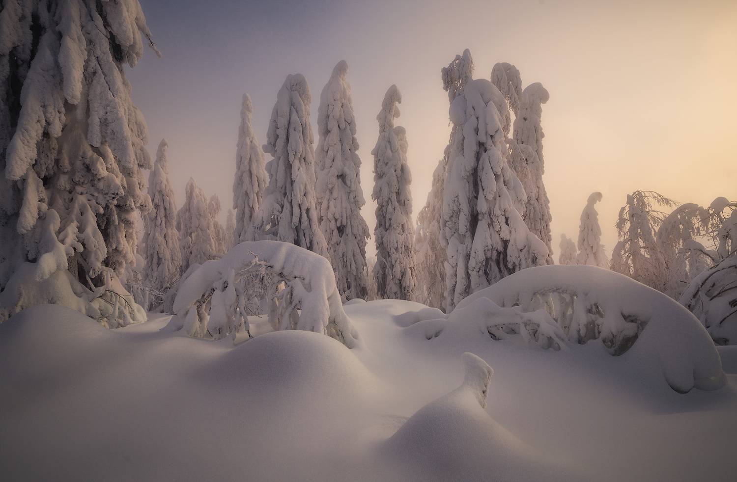 северныйурал, урал, полюд, пермскийкрай, Владимир Ляпин