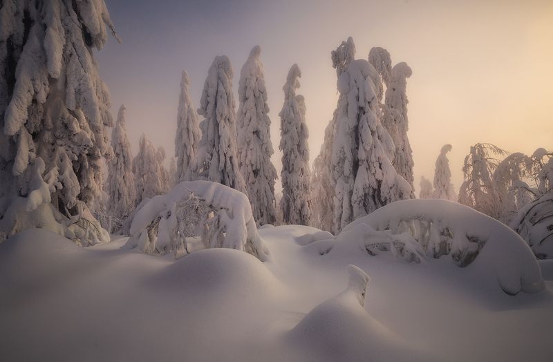 северныйурал, урал, полюд, пермскийкрай В зимнем объятииphoto preview