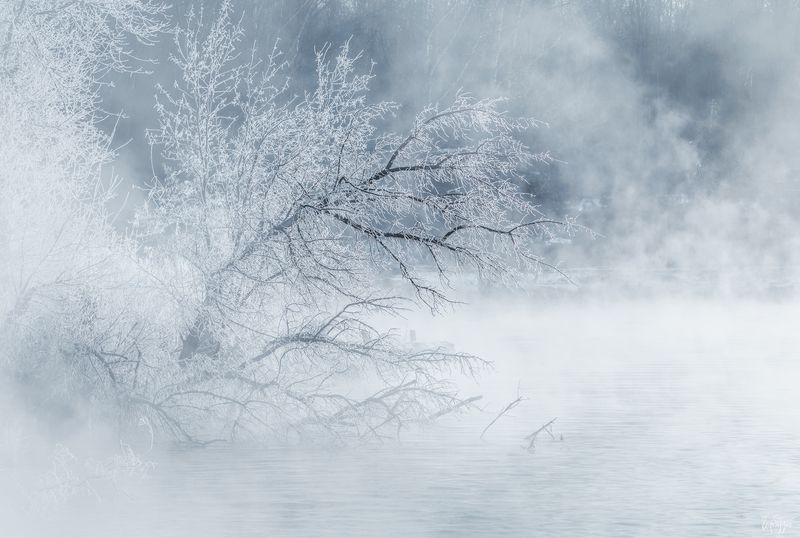 Утро на озере Горячка. Тула.photo preview