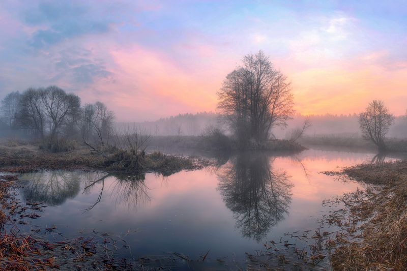 ********photo preview