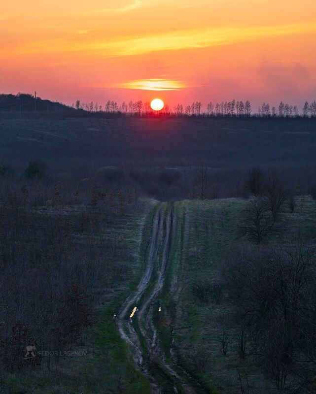 белгородская область, белогорье, холмы, холмистое, озеро, пруд, водоём, закат, сумерки, дорога, просёлка, берег, поле, лес, берёза, весна, весенний, апрель, апрельский, Пробуждениеphoto preview