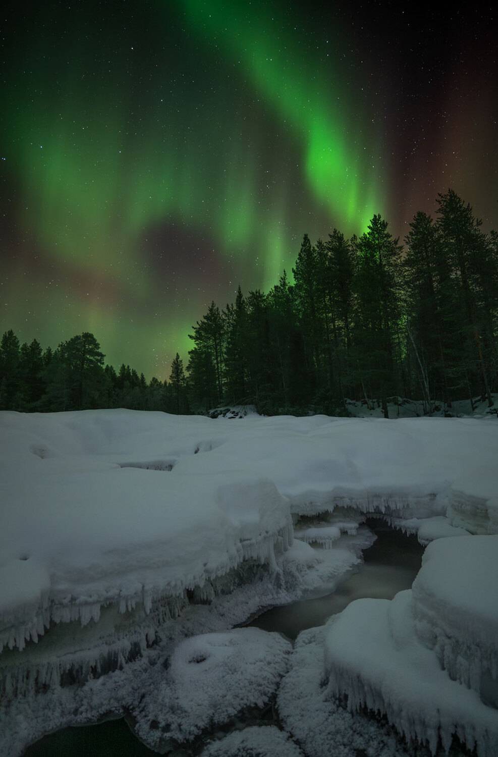 , Бушков Евгений