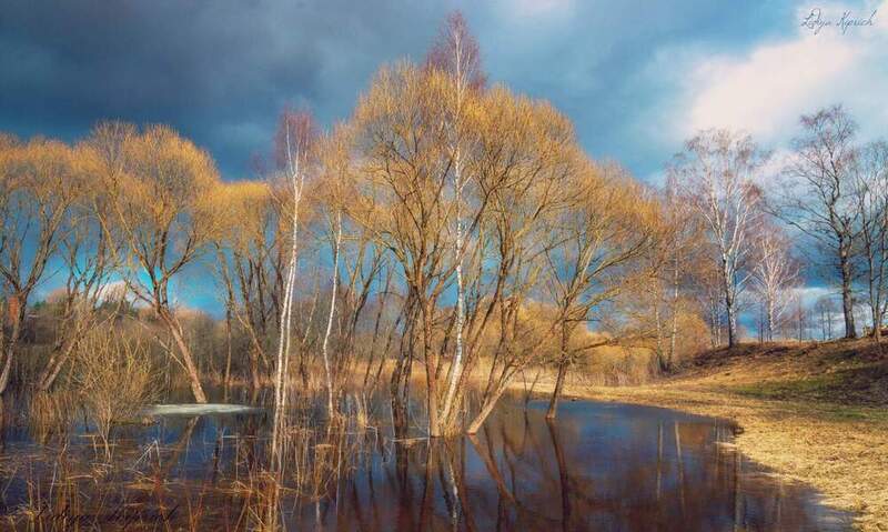 половодье, весна, деревья, весна, вода прибывает фото превью