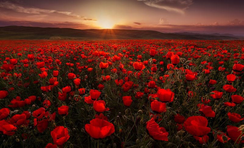 Всех с 8 марта!!! Счастья, улыбок и тепла!photo preview