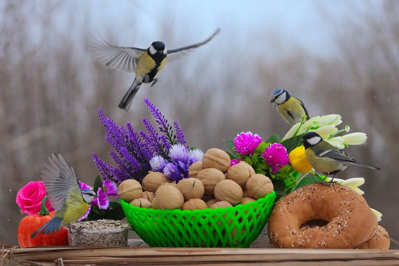 Сегодня праздник у девчат! С 8 Марта!photo preview