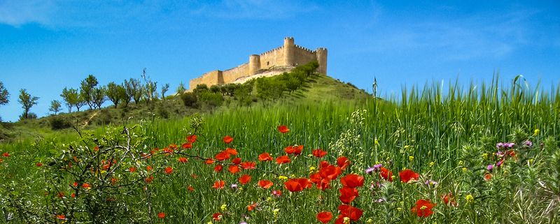 Castello de Sid, Jadrace, Espanaphoto preview