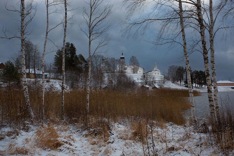 ферапонтово,зима, березы, монастырь, озеро Ферапонтово фото превью