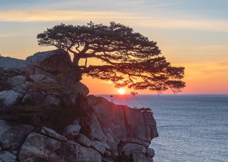 Hajodae Pinephoto preview