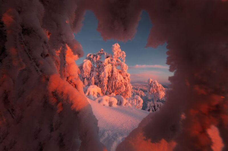 C 8 Марта!photo preview