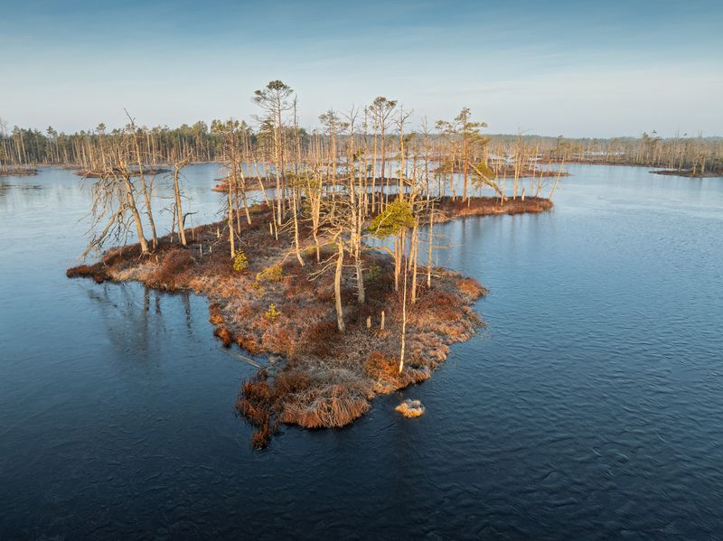 Мартовское утро фото превью