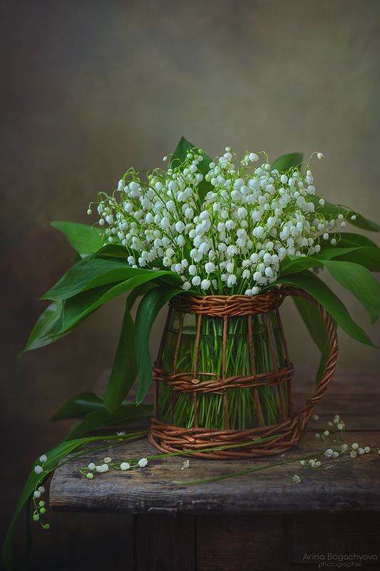 *** фото превью