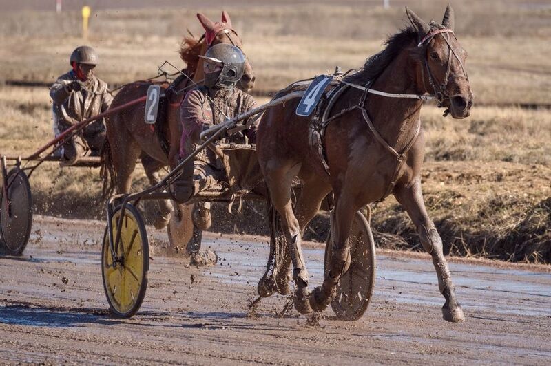 рысистые, бега, ипподром, кони, лошади Грязи бояться - в бегах не участвоватьphoto preview