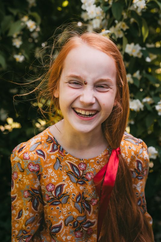 Ladybugphoto preview