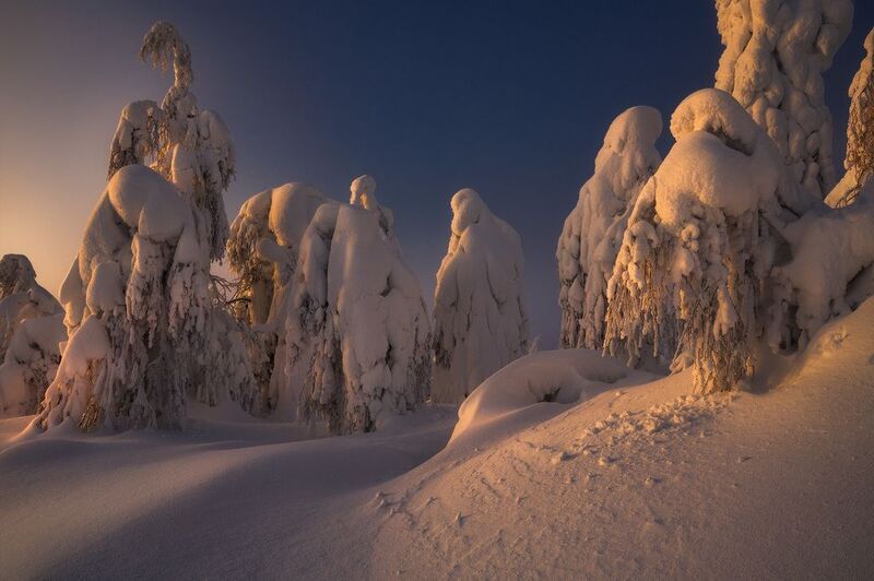 северныйурал, урал, полюд, пермскийкрай Местные обитателиphoto preview