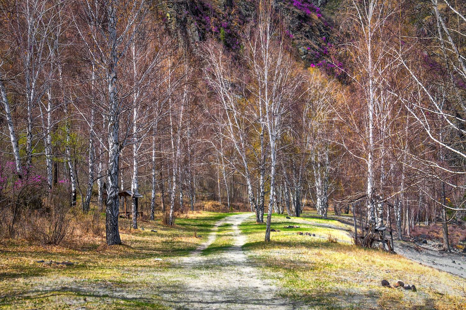Весенний Алтай. . Автор: Марина Юдинских , Марина Юдинских