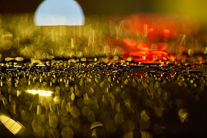 После дождяphoto preview