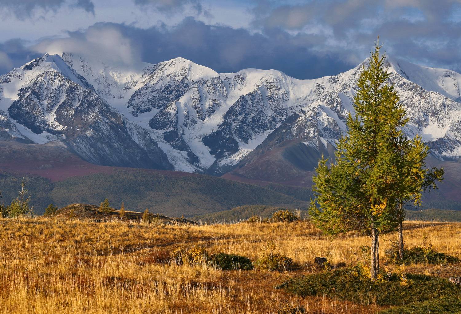 Горный Алтай, Северо-Чуйский хребет, горы, Галина Хвостенко