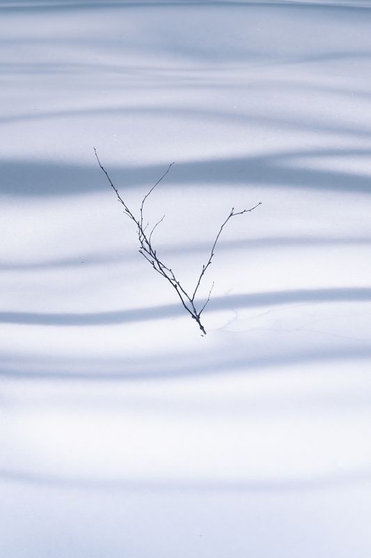 На Большой каменной рекеphoto preview